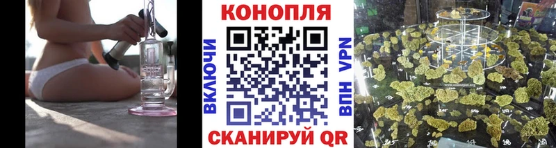 где купить наркоту  Черногорск  Шишки марихуана OG Kush 